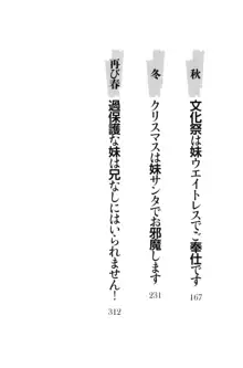 過保護な妹は兄さんが好きすぎて毎日エロエロ甘やかしたいっ!, 日本語