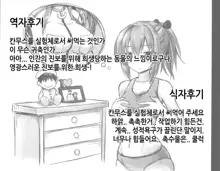 Kanmusu Chakunin Saratoga Shokushu Kisei Report | 칸무스 착임 사라토가 촉수기생 리포트, 한국어