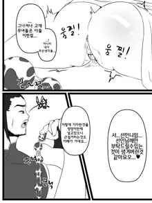 던파 무녀 동인지 완성본, 한국어