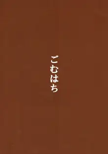 駄肉マッサージダイエット, 日本語