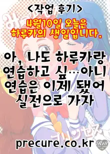 Mitsudomoe Princess | 삼파전 프린세스, 한국어