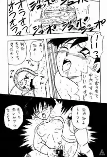 Go! Go! Videl!, 日本語