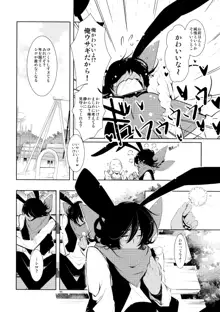 BLACK AND WHITE RABBIT 総集編, 日本語