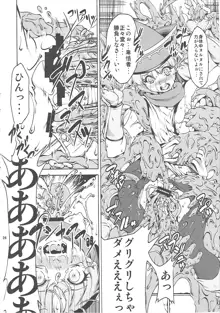 FD vol.5, 日本語