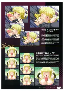 戦乙女ヴァルキリー2 ビジュアルファンブック, 日本語