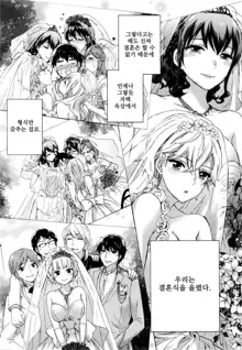 Zettai Harem 7 | 왕좌의 하렘★ 7, 한국어