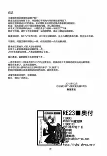 RE 23, 中文