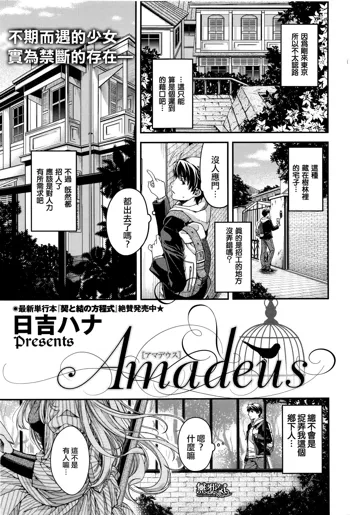 Amadeus, 中文