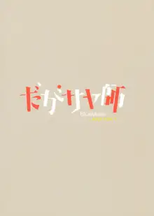 だがさやし, 日本語