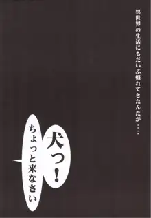 ゼロのおしおき Vol.1, 日本語