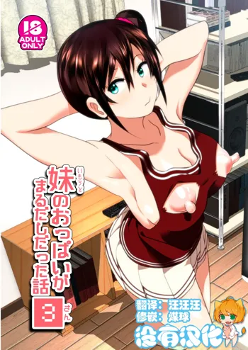 Imouto no Oppai ga Marudashi Datta Hanashi 3 (decensored), 中文