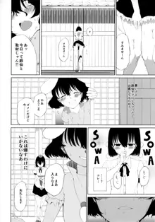 文とてゐと早苗とうどんげがおもらしする本!!, 日本語