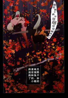 Hanafuda | 华札, 中文