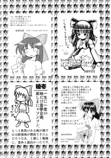 東方霊袖伝, 日本語