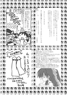 東方霊袖伝, 日本語