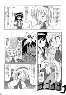 東方霊袖伝, 日本語