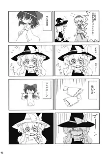 東方霊袖伝, 日本語