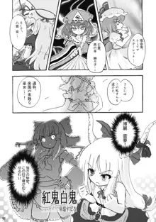 東方霊袖伝, 日本語