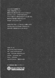 理想の妹4, 日本語