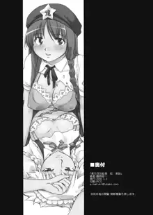 Touhou Ukiyo Emaki Hong Meiling, Español