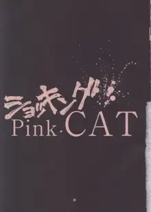 ショッキングPINK・CAT, 日本語