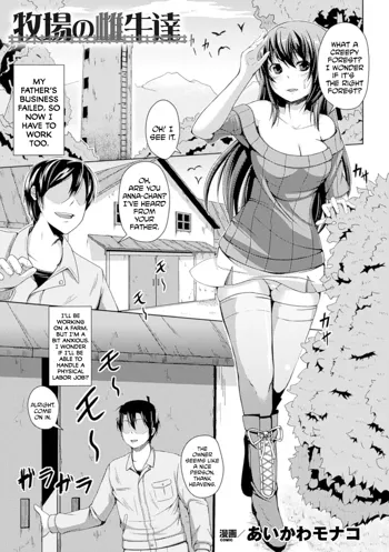 Bokujou no Meushi-tachi, English