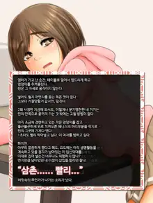 Kareshi to Hatsu Ecchi Shitate no Meikko o Otoshidama de Tsutte Hamemakutta Toshinose 1, 한국어