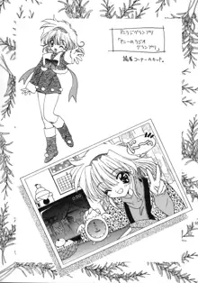 Ramiya Ryou Illustration Gengashuu 2, 日本語