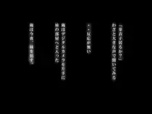 妹を睡眠薬で眠らせて犯してみた。, 日本語