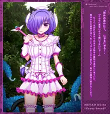 Cross breed~クロスブリード~_MEYAO!! DL-02, 日本語