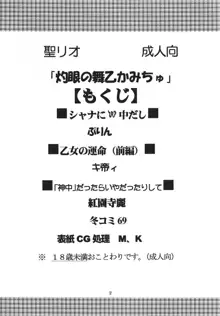 灼眼の舞乙かみちゅ, 日本語