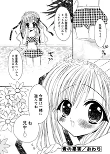 愛娘箱, 日本語