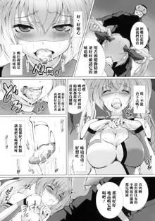 Hengen Souki Shine Mirage THE COMIC EPISODE1, 中文