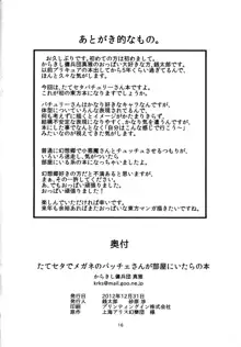 たてセタでメガネのパッチェさんが部屋にいたらの本, 日本語