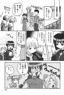 この小さな胸のうち2, 日本語