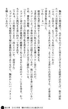 魅惑の楽園マンション 若妻と熟れ妻たち, 日本語