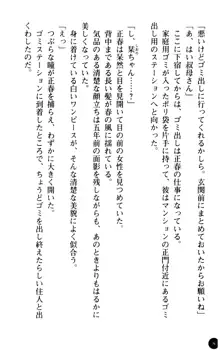 魅惑の楽園マンション 若妻と熟れ妻たち, 日本語