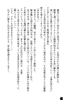 魅惑の楽園マンション 若妻と熟れ妻たち, 日本語