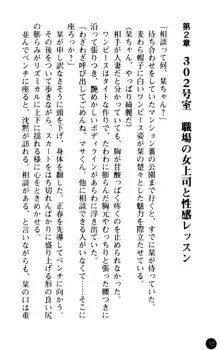 魅惑の楽園マンション 若妻と熟れ妻たち, 日本語