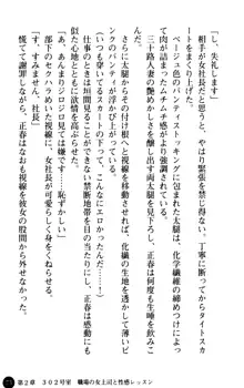 魅惑の楽園マンション 若妻と熟れ妻たち, 日本語