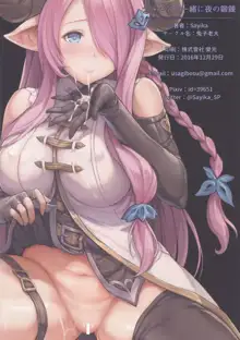 Narmaya to Issho ni Yoru no Tanren, 中文