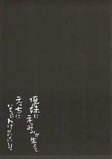 俺の妹にネコみみが生えてえっちになるわけがない!!, 日本語