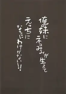 俺の妹にネコみみが生えてえっちになるわけがない!!, 日本語