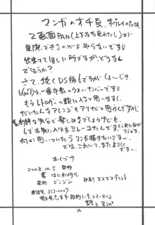 DRAGON REQUEST Vol.11, 日本語