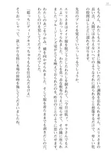 座敷童の掟 外伝 資料 伊奈澤聡美の書簡, 日本語