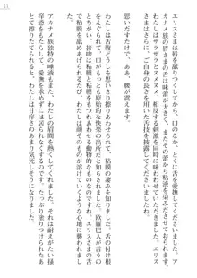 座敷童の掟 外伝 資料 伊奈澤聡美の書簡, 日本語