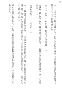 座敷童の掟 外伝 資料 伊奈澤聡美の書簡, 日本語