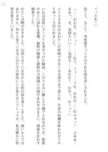 座敷童の掟 外伝 資料 伊奈澤聡美の書簡, 日本語