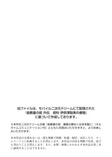 座敷童の掟 外伝 資料 伊奈澤聡美の書簡, 日本語