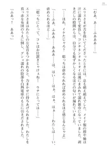 座敷童の掟 外伝 資料 伊奈澤聡美の書簡, 日本語